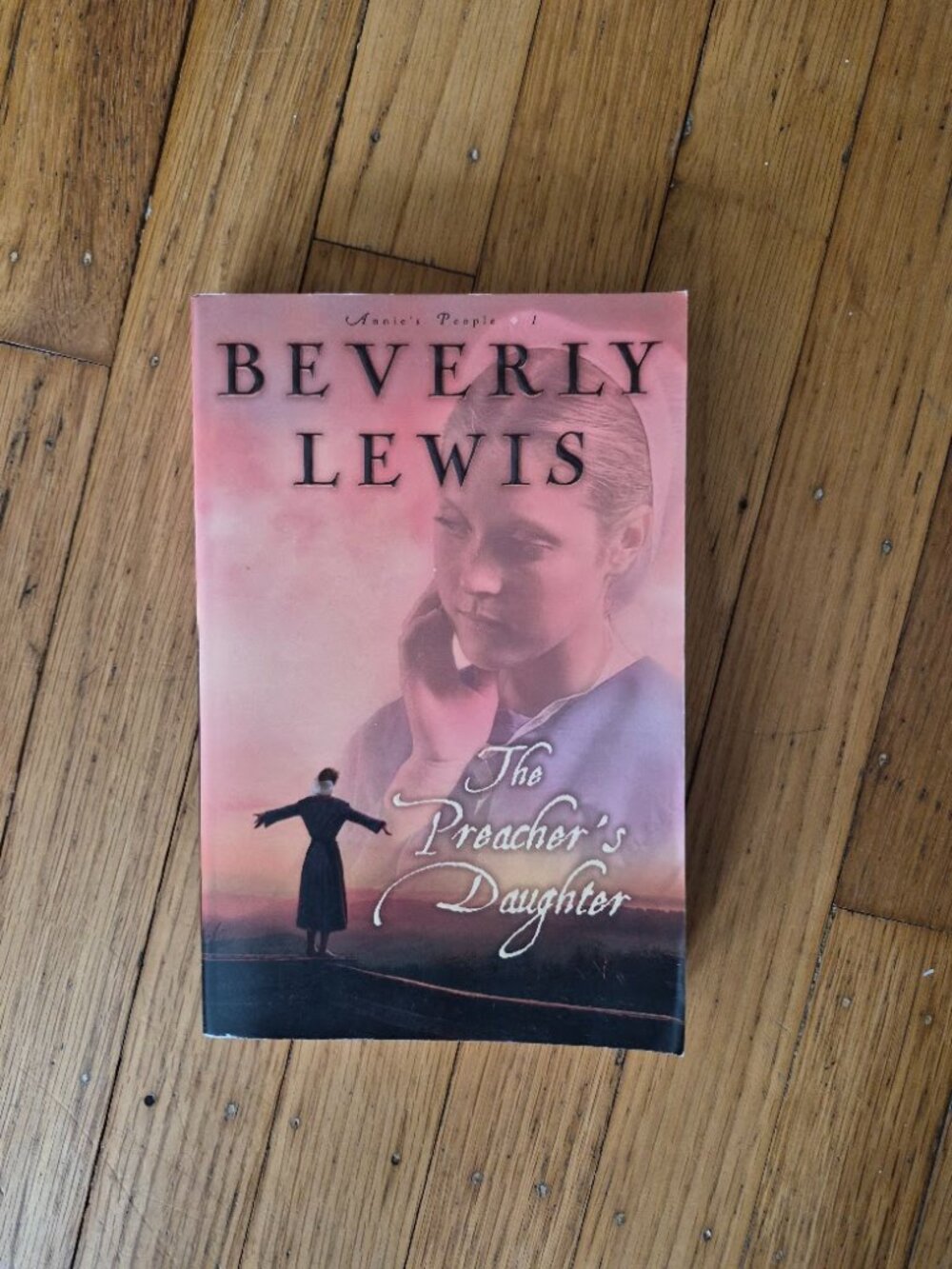 The Preacher's Daughter By Beverly Lewis